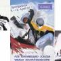 Snowboard - Junior Weltmeisterschaften 2007 in Gastein