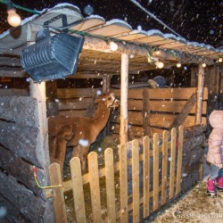 Christkindlmarkt Böckstein