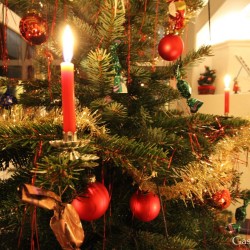 Gasteiner Christbaum