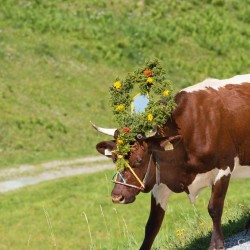 20130907_0698_michel_edv_at.jpg