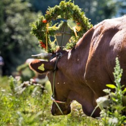 20130907_0737_michel_edv_at.jpg