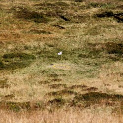 Loch Nr. 4 - echt irish