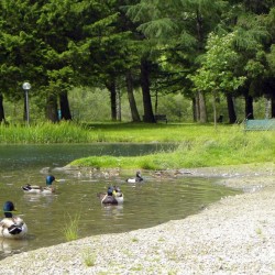 Kurpark Bad Hofgastein