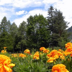 Kurpark Bad Hofgastein