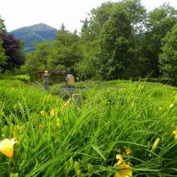 Kurpark Bad Hofgastein