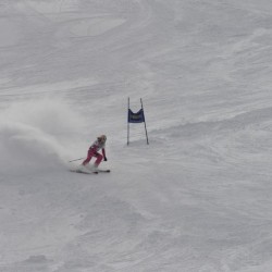 km15_dsc_1171.jpg