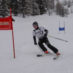km15_dsc_1196.jpg