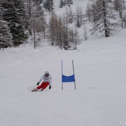 km15_dsc_1201.jpg