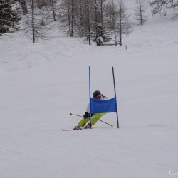 km15_dsc_1206.jpg