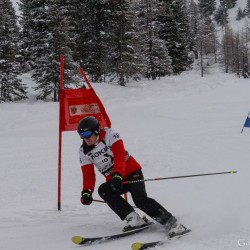 km15_dsc_1215.jpg