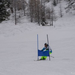 km15_dsc_1217.jpg