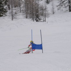 km15_dsc_1220.jpg