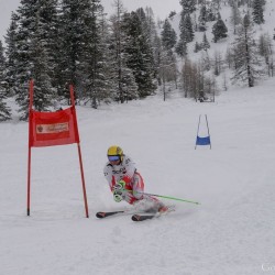 km15_dsc_1222.jpg