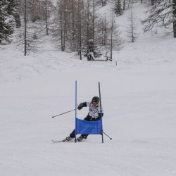 km15_dsc_1224.jpg