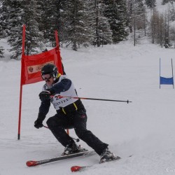 km15_dsc_1226.jpg