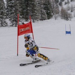 km15_dsc_1232.jpg