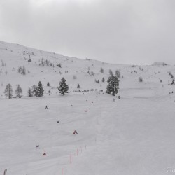 km15_dsc_1258.jpg