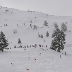 km15_dsc_1259.jpg