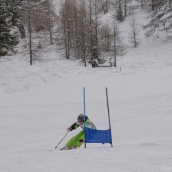km15_dsc_1276.jpg