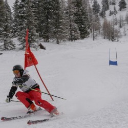 km15_dsc_1289.jpg