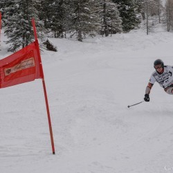 km15_dsc_1317.jpg