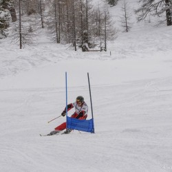 km15_dsc_1331.jpg