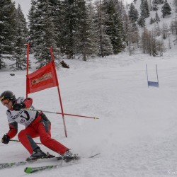 km15_dsc_1334.jpg