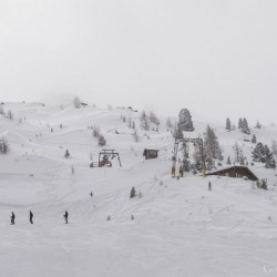 km15_dsc_1335.jpg