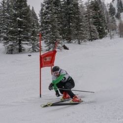 km15_dsc_1346.jpg