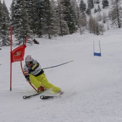 km15_dsc_1353.jpg