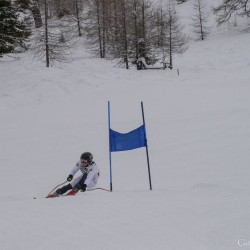 km15_dsc_1381.jpg