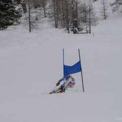 km15_dsc_1416.jpg