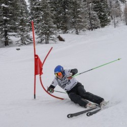 km15_dsc_1445.jpg