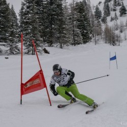km15_dsc_1485.jpg