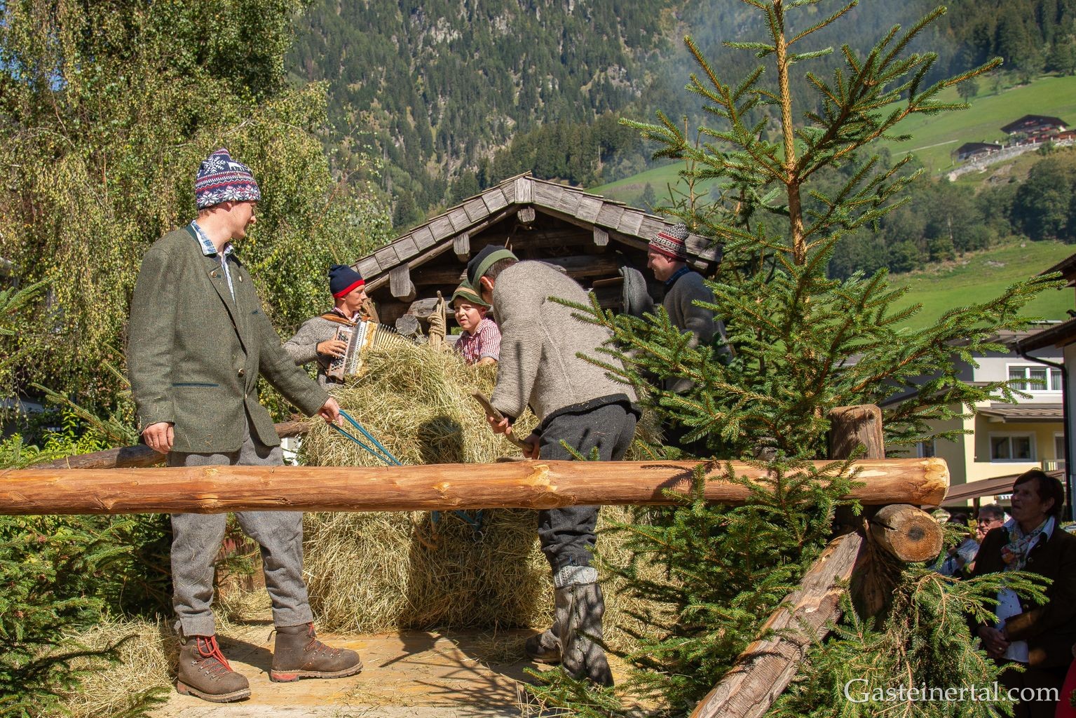 <kt26_dsc_3911.jpg