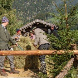 kt26_dsc_3911.jpg