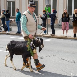 dsc_8249.jpg