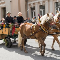 dsc_8271.jpg