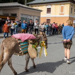 dsc_8299.jpg