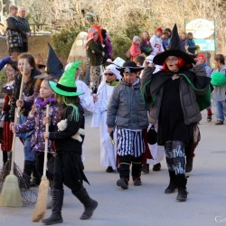 Faschingsumzug Volksschule Bad Hofgastein