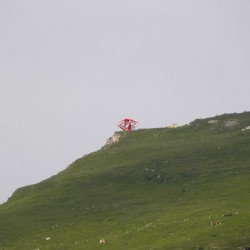 dscn9272.jpg