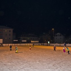 dsc_4525.jpg