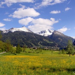 Blick zum Graukogel