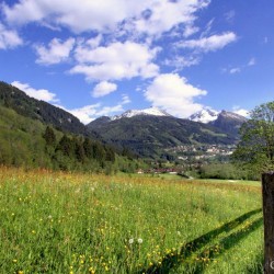 Blick von Remsach Richtung Graukogel