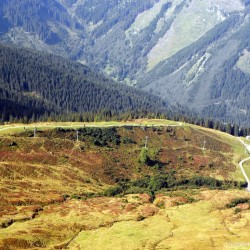 Jungeralm
