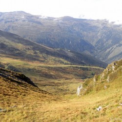 Blick in die Jungeralm