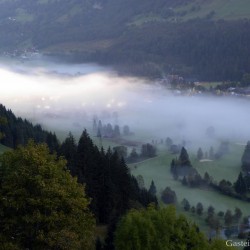Golfplatz im Nebel