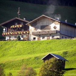 dscn0958.jpg