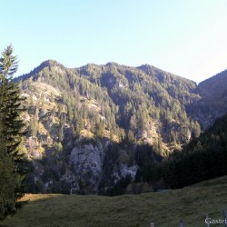 dscn0977.jpg