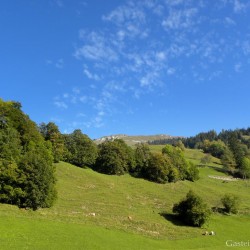 dscn1031.jpg